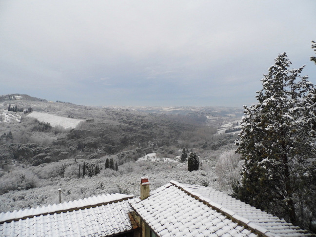 NEVICA